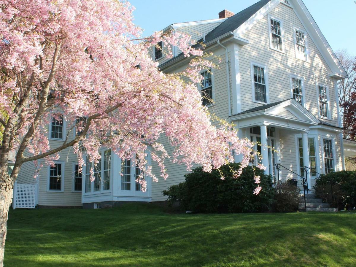 The Beech Tree B&B Rockport Εξωτερικό φωτογραφία